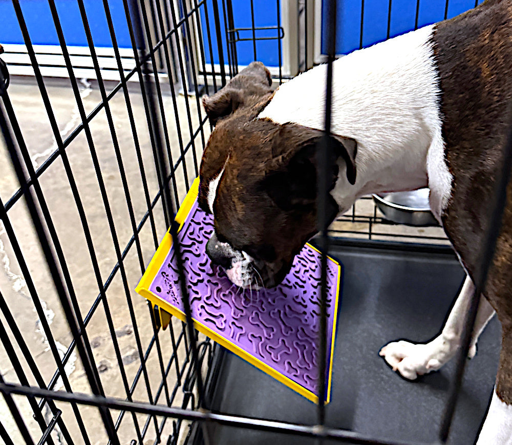 Large LickiDock "A" Frame Station Daffodil Yellow