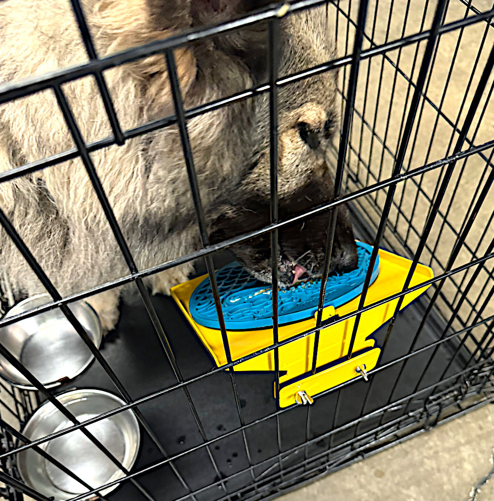 Small LickiDock "A" Frame Station Orange