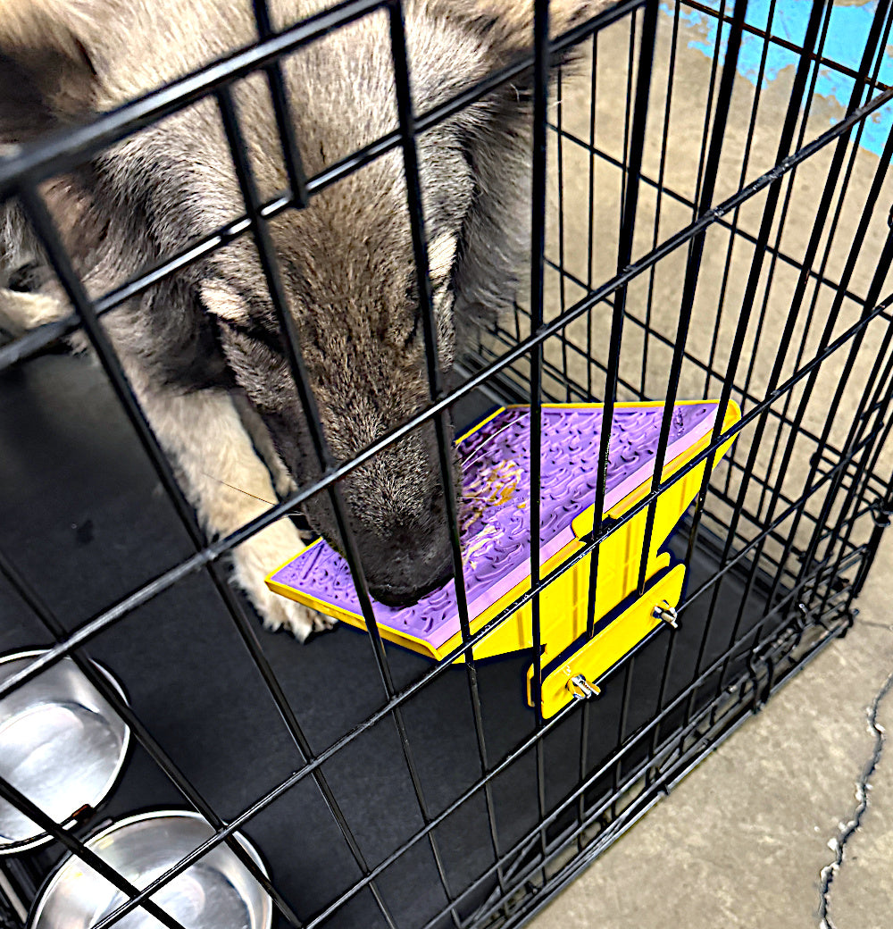 LickiDock Daffodil Yellow 8" by 8"