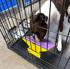 LickiDock Daffodil Yellow 8" by 8"