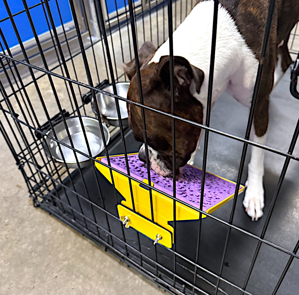 LickiDock Daffodil Yellow 8" by 8"